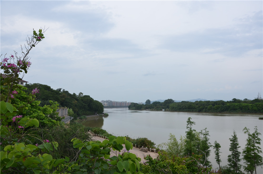 國(guó)務(wù)院：聚焦企業(yè)關(guān)切，進(jìn)一步推動(dòng)優(yōu)化營(yíng)商環(huán)境政策落實(shí)